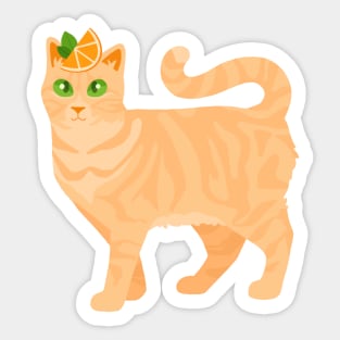 Orange Sherbet Cat Sticker